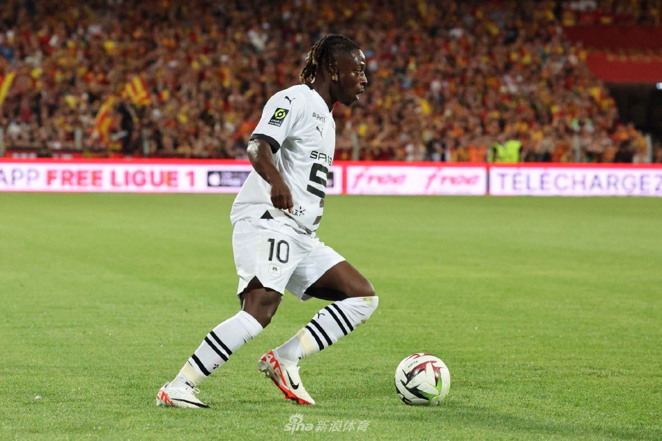 杜锋教练执 杜锋教练执